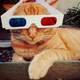 Illustration for article titled Top 7 Cats That Are Cats